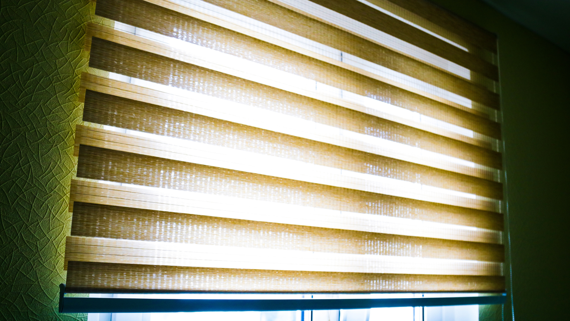 day and night blinds against the light